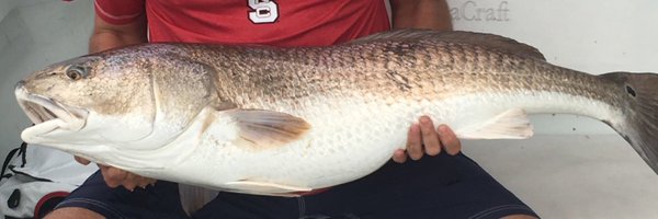 wbrittymca Profile Banner