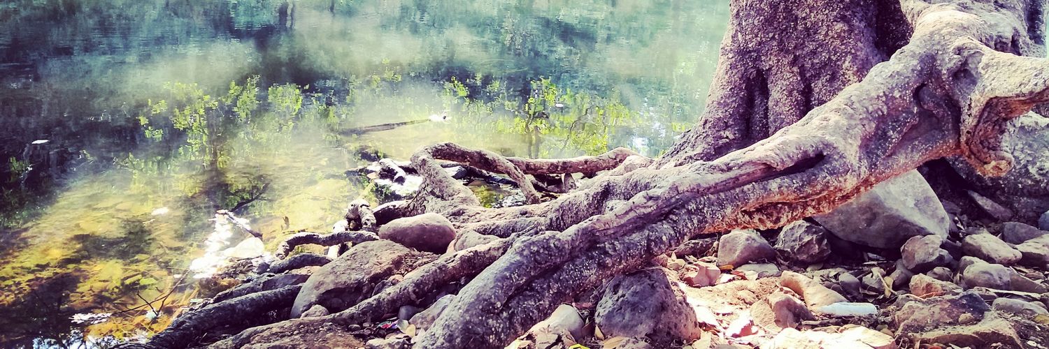 RealBharatB's profile banner image