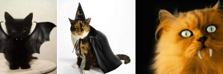 Just_Cats's profile banner image