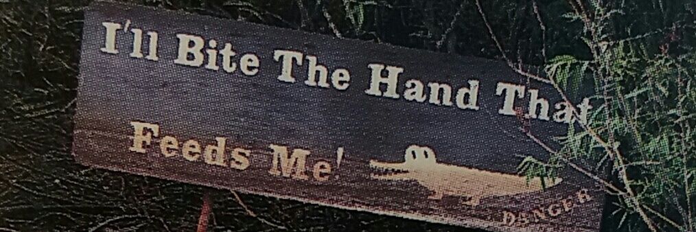 All about Joanie Chou-Chou ❨･¨⬮ banner