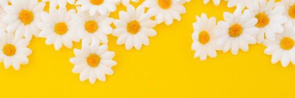 Netaz_19 Profile Banner