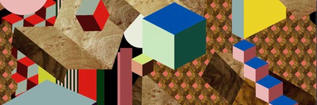Suzanne Pietra di Michele banner