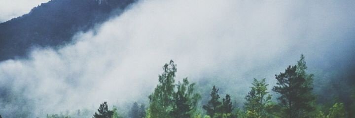 parsaubi's profile banner image