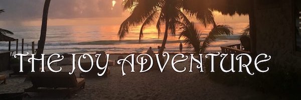 TheJoyAdventure's profile banner image
