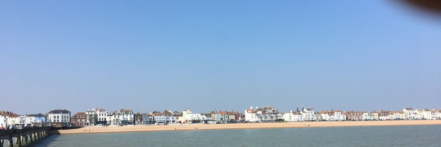 🐝 all the way banner