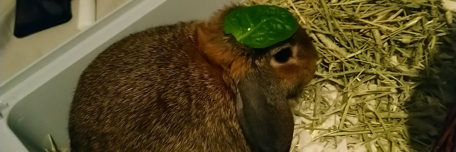 Dustiek_'s profile banner image