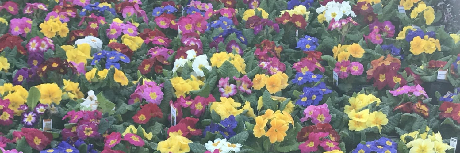 EncinitasHDstore0660 banner