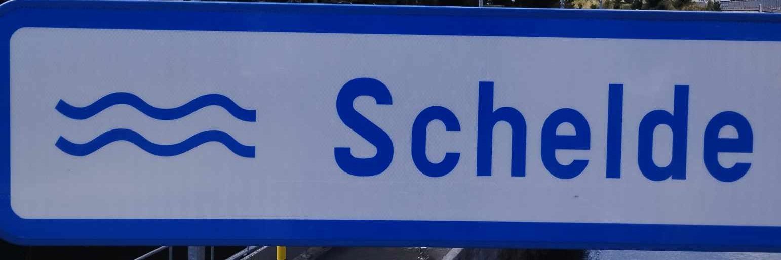 Lasse Schelde banner