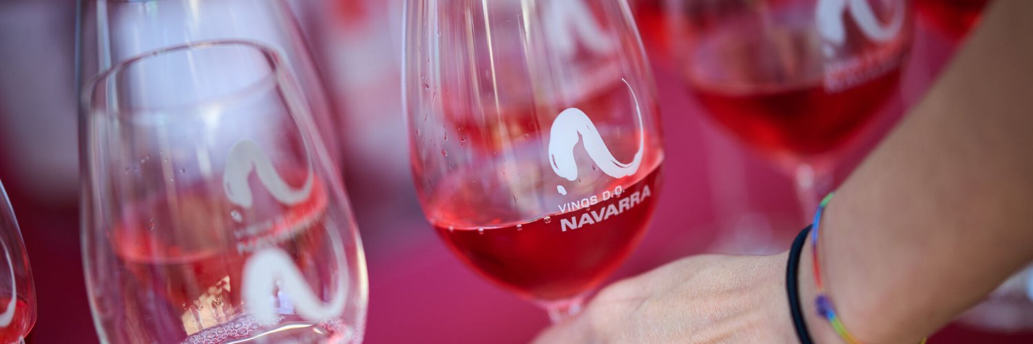 Puy Trigueros banner