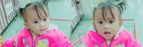 mega syalshabillah banner