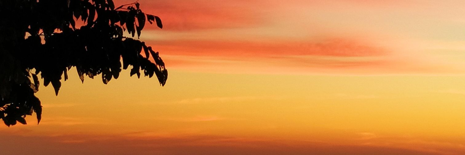 rwaone's profile banner image