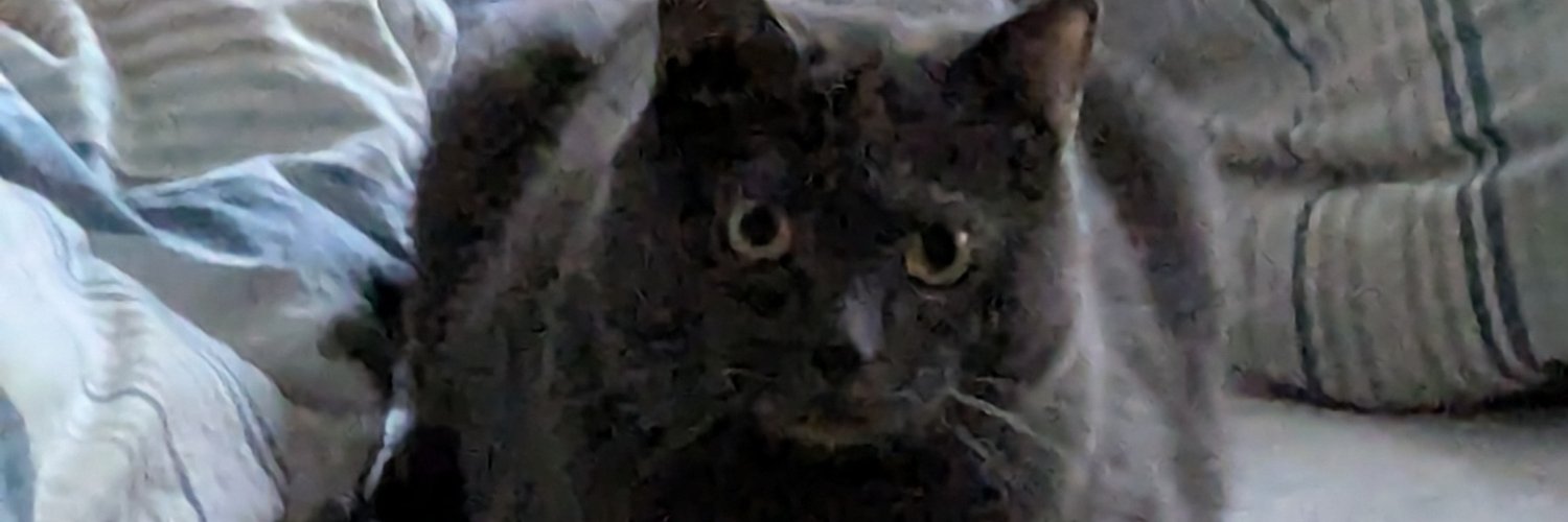 FunnyThePlayer's profile banner image