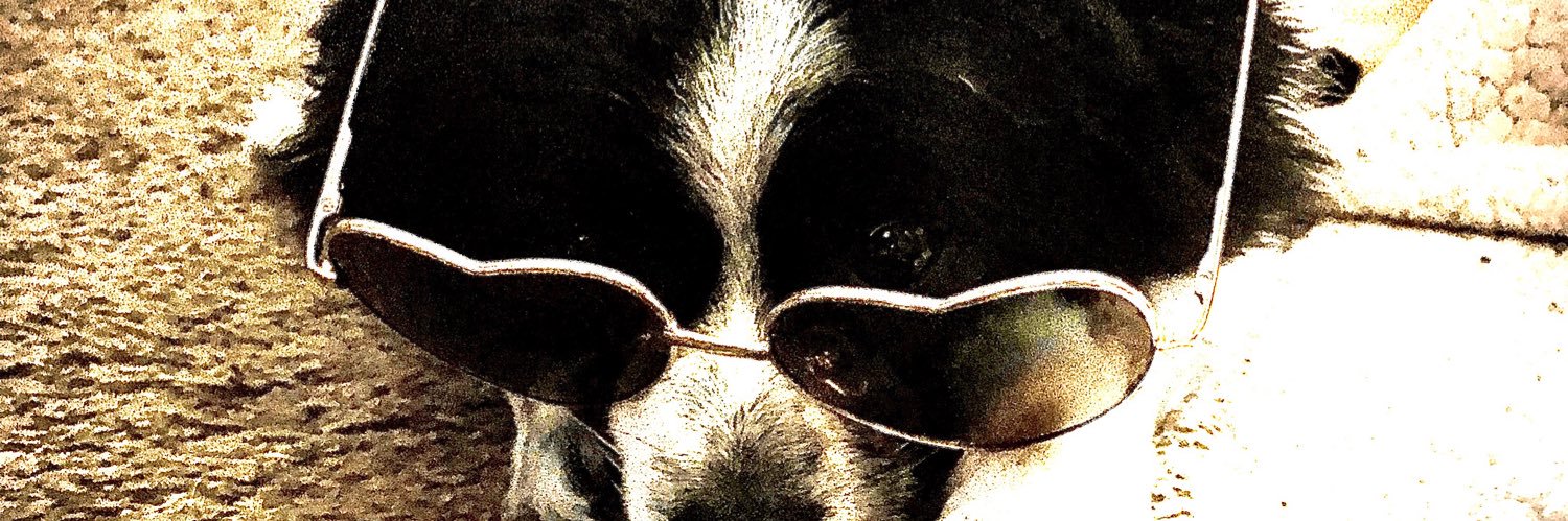 PaigeStacy13's profile banner image