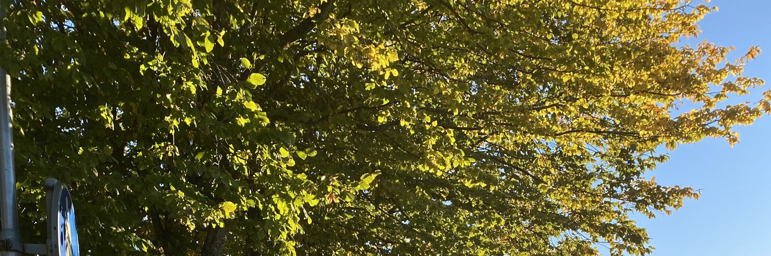 linneeaholm's profile banner image