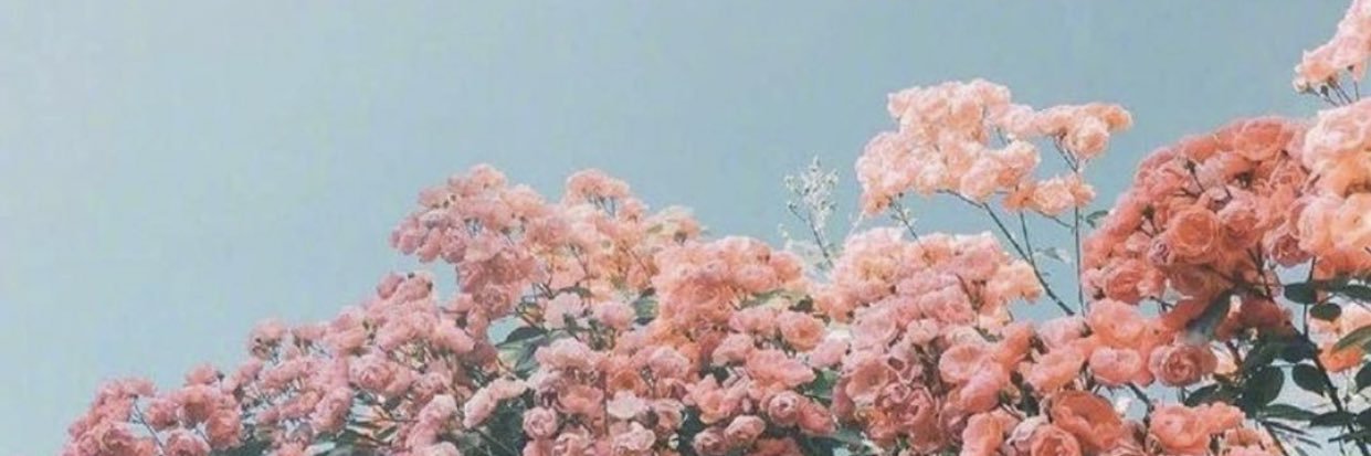 mrgz_12's profile banner image