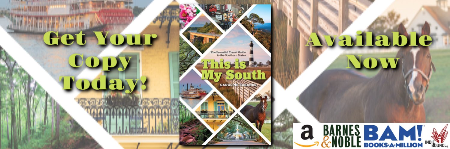 ThisIsMySouth's profile banner image