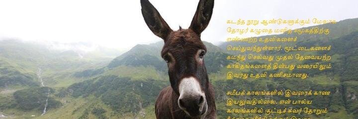 selvu's profile banner image