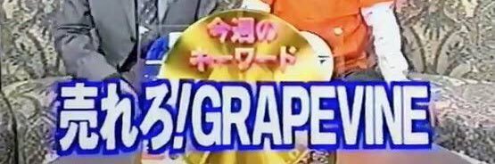 👼しーぽこ👼 banner