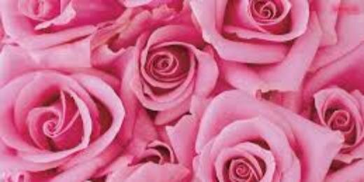 bellaglei's profile banner image