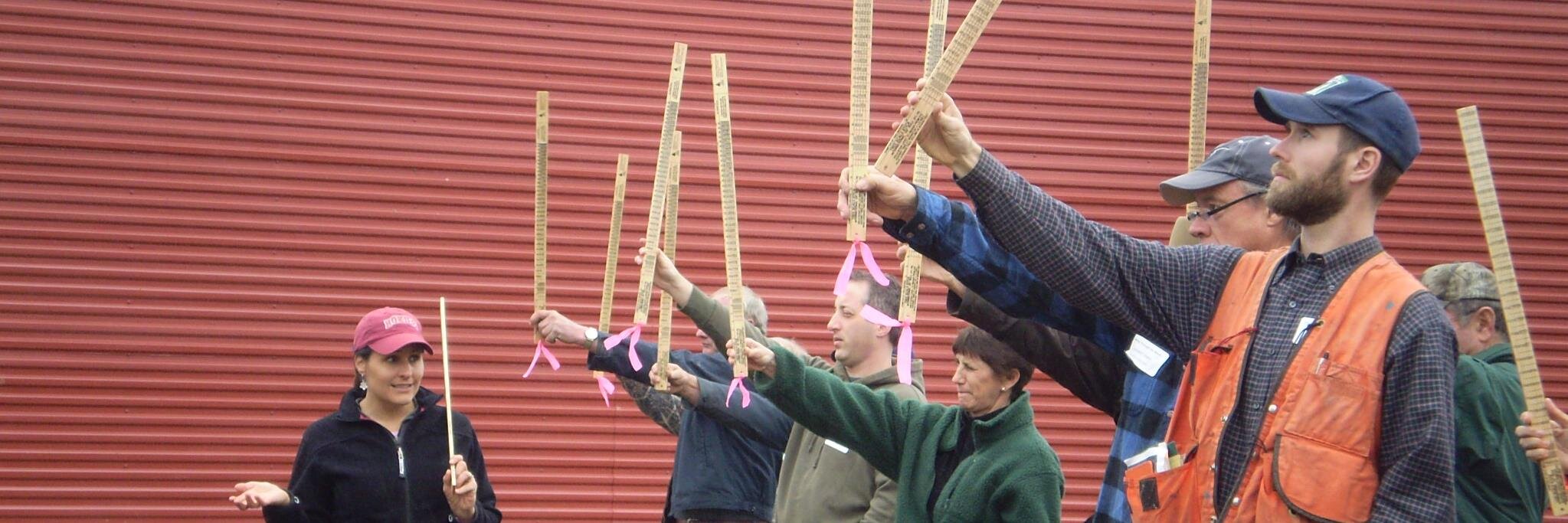 VirginiaForestOwners banner