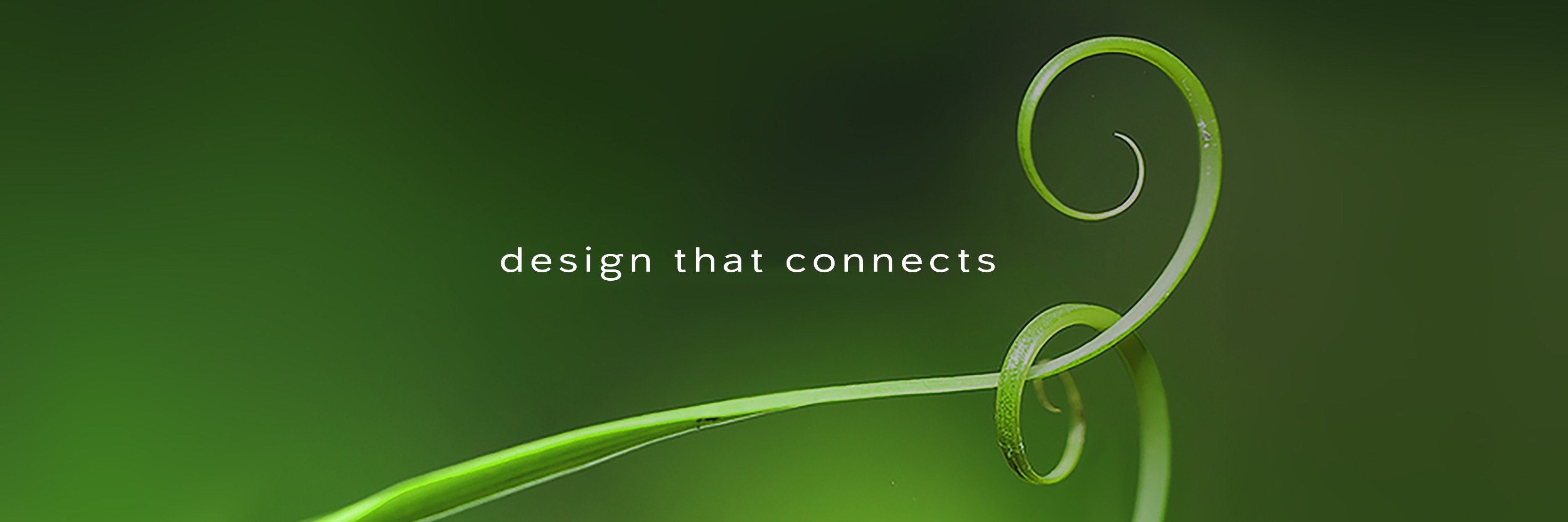 spinleaf's profile banner image