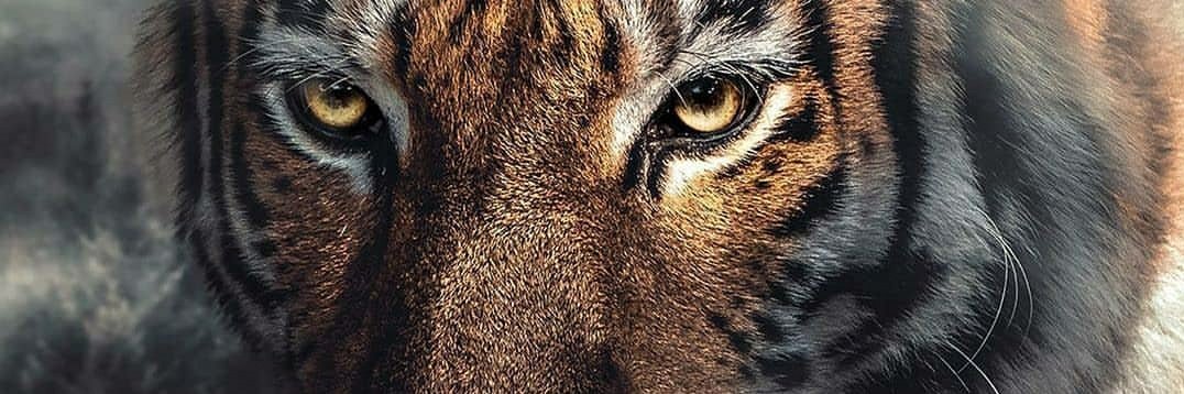 hiday___'s profile banner image