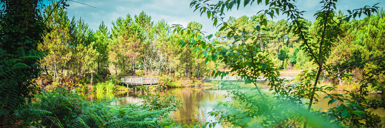 Villedepessac's profile banner image
