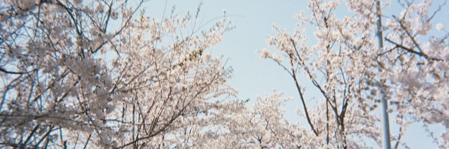 mariadeeme's profile banner image