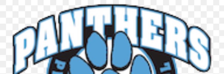 Panthers Baseball banner