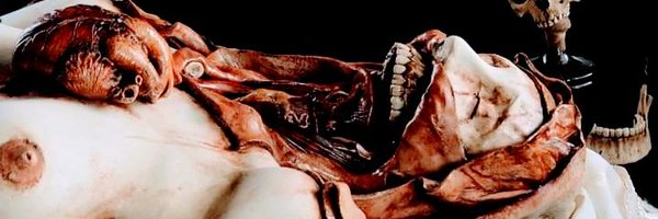 bruja_pititis Profile Banner
