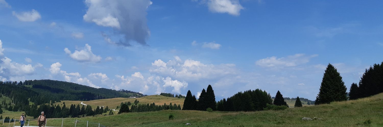 damberti's profile banner image