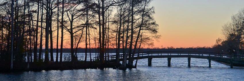 Visit Edenton banner