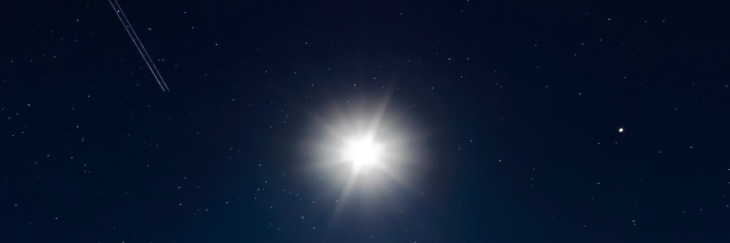 The Natwivity banner