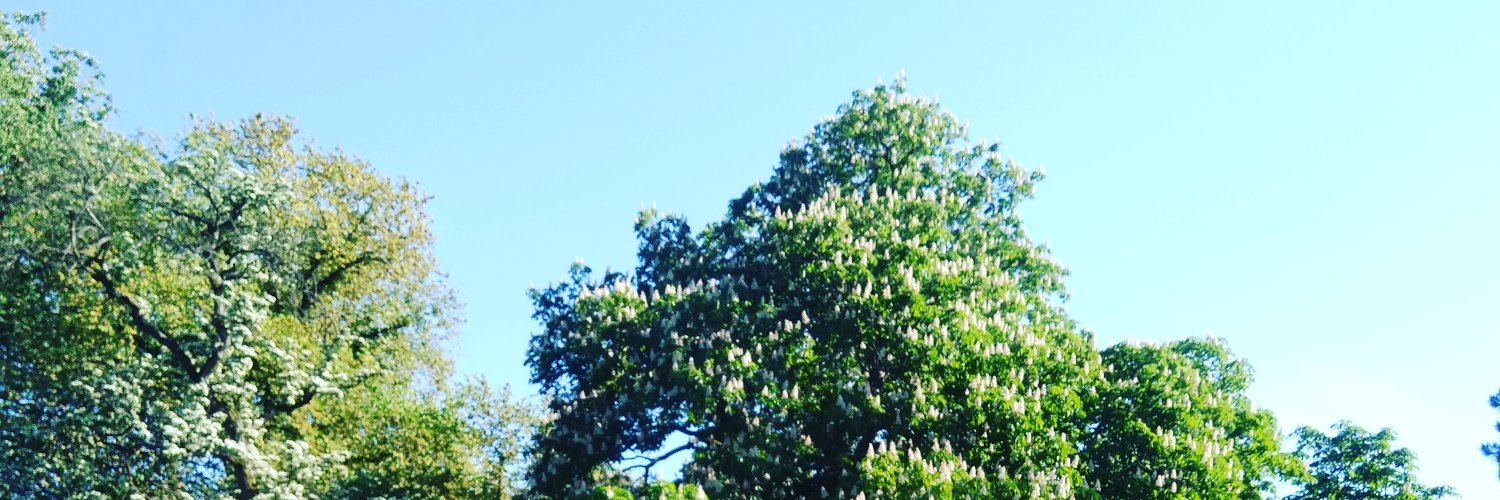 JenMumbe's profile banner image