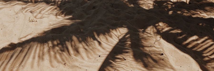 saraí's banner