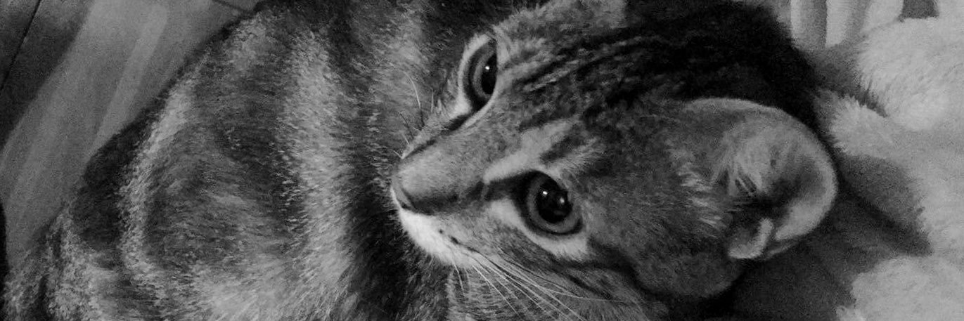 czrnpln's profile banner image