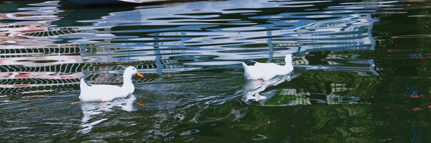 JohnMarkBogart's profile banner image
