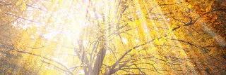 SingingLessons_'s profile banner image