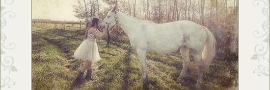krystalapointe's profile banner image