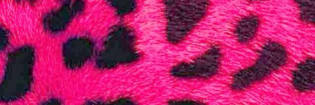 Itoitalla's profile banner image