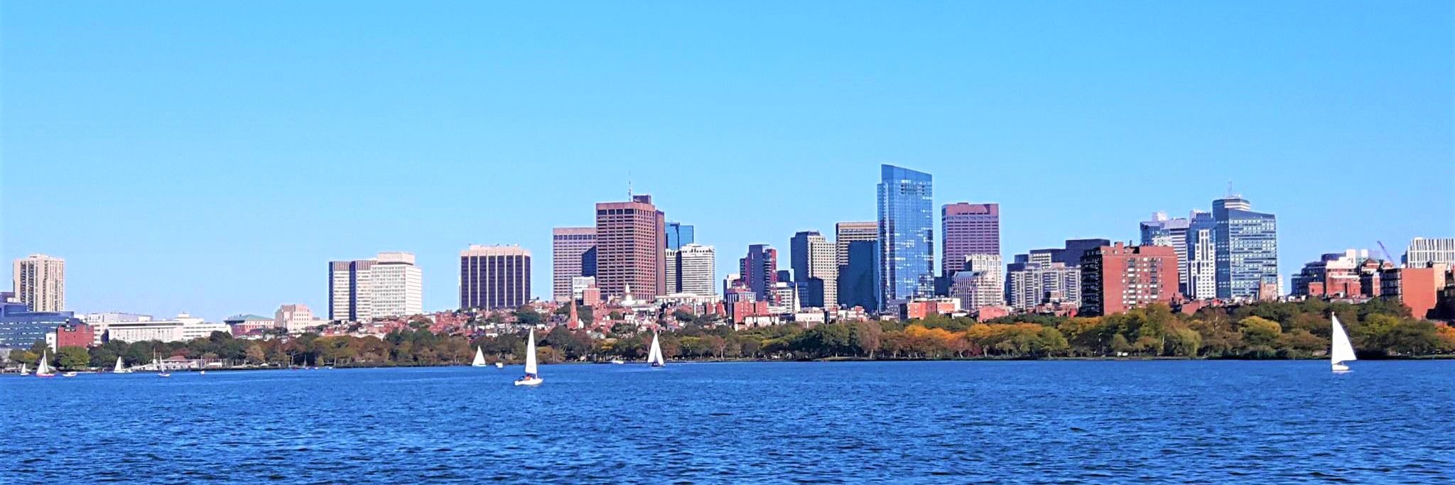 Patrick Ching banner