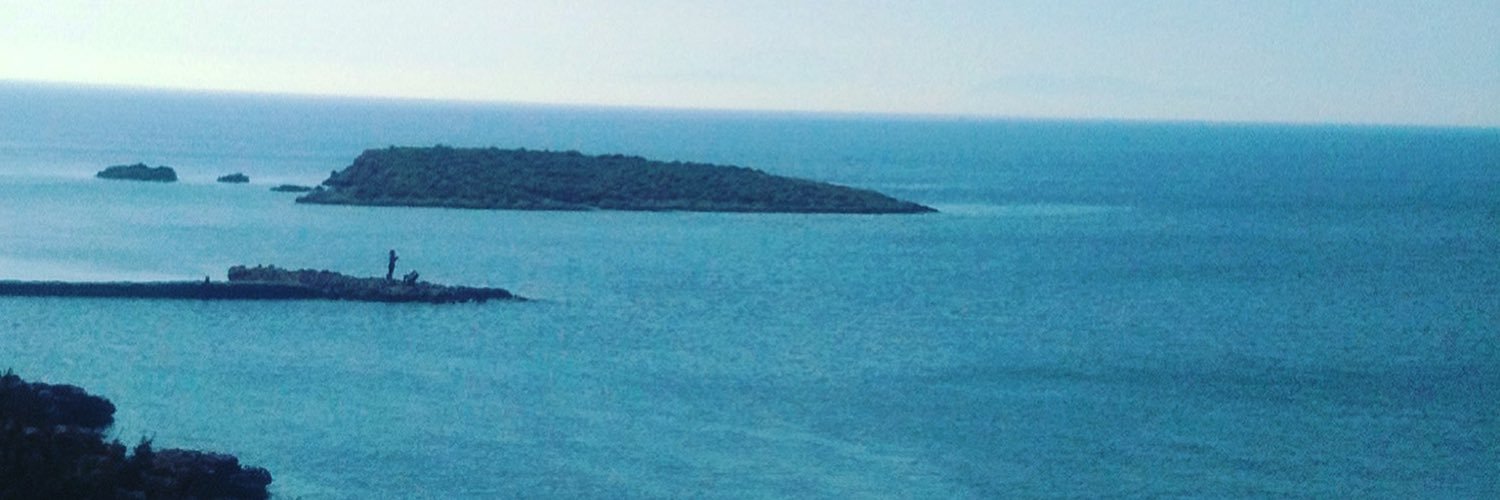 vassokotsi's profile banner image