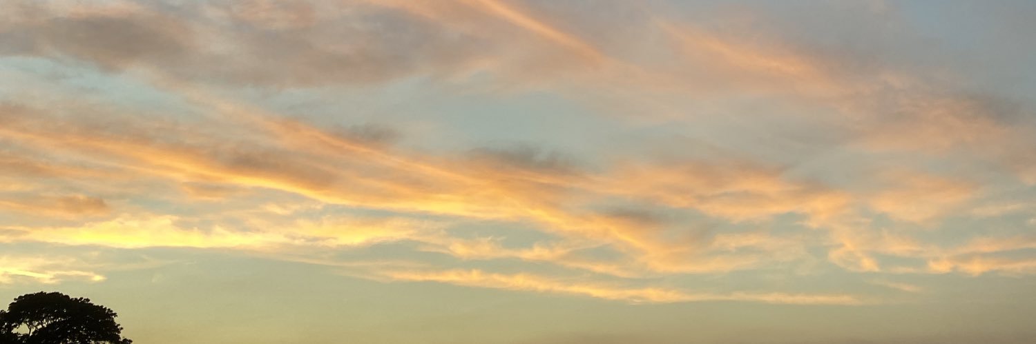 isisme_'s profile banner image