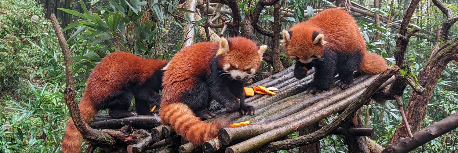 tianxia776's profile banner image