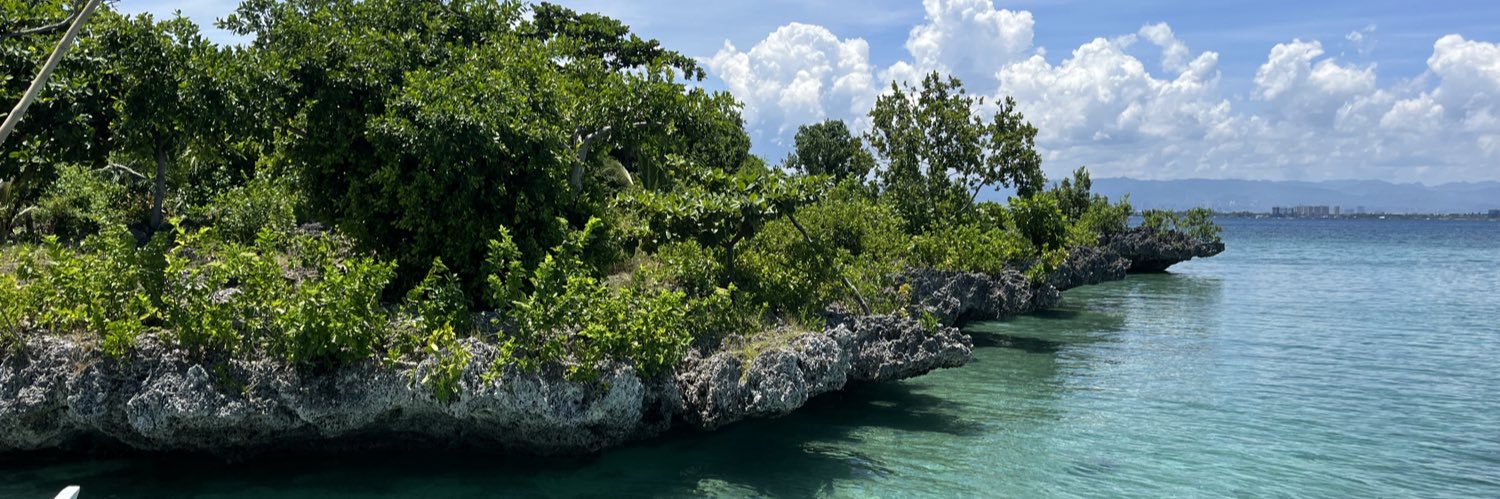 たち🥟🦋🐹 banner