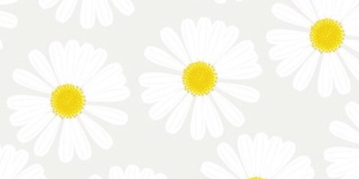 nabsowr's profile banner image