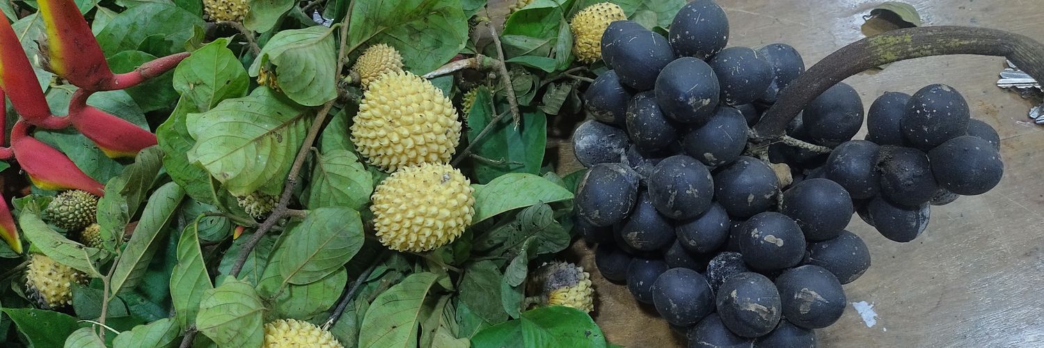 ∫ M A C H A D O ∫🇨🇴🇺🇦 banner