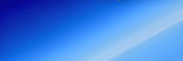 mint's banner