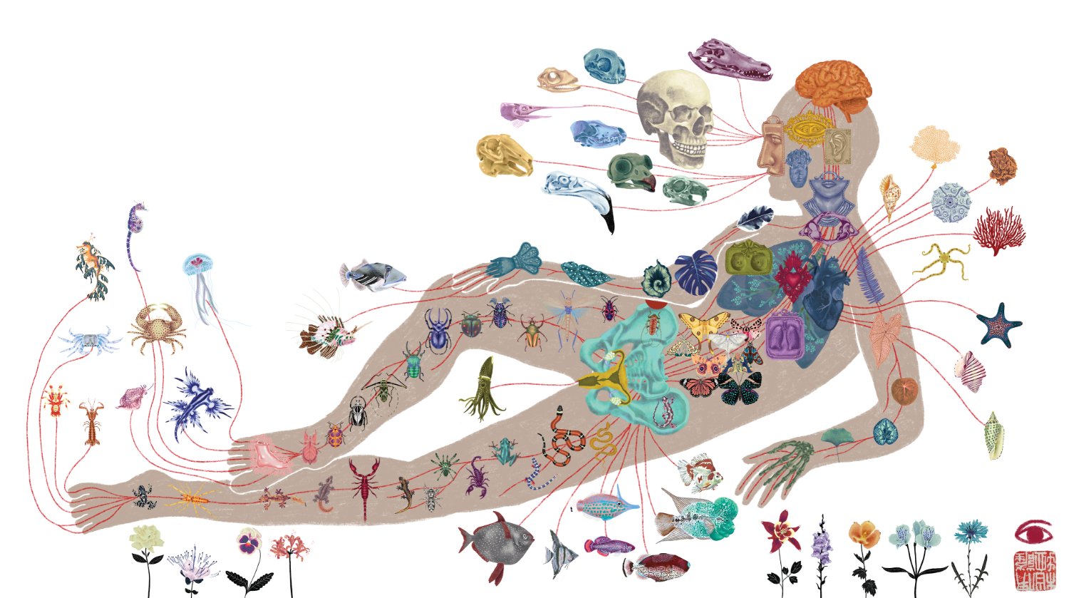 Isakost 🪲💀🫀 banner