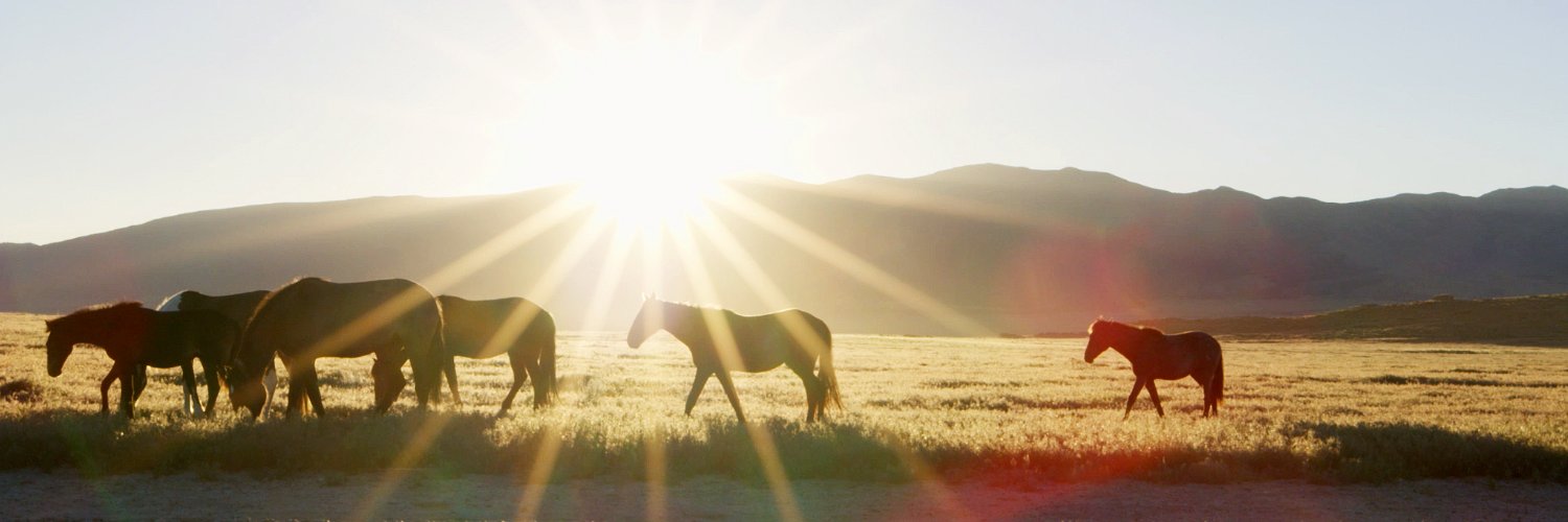 BLM Wild Horse & Burro Program banner